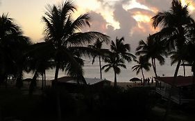 Cocotiers et pieds dans l'eau